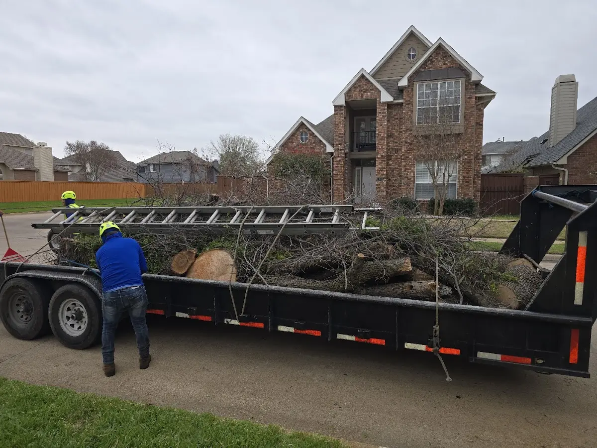 Expert Tree Fertilization with proper safety equipment in Elton